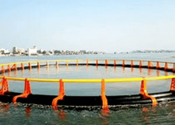 JWELL-Profil-Verdrängungs-Maschine PET Marine Pedal Making Machine
