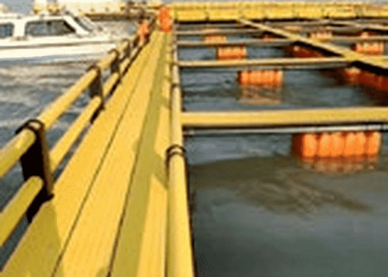 JWELL-Profil-Verdrängungs-Maschine PET Marine Pedal Making Machine